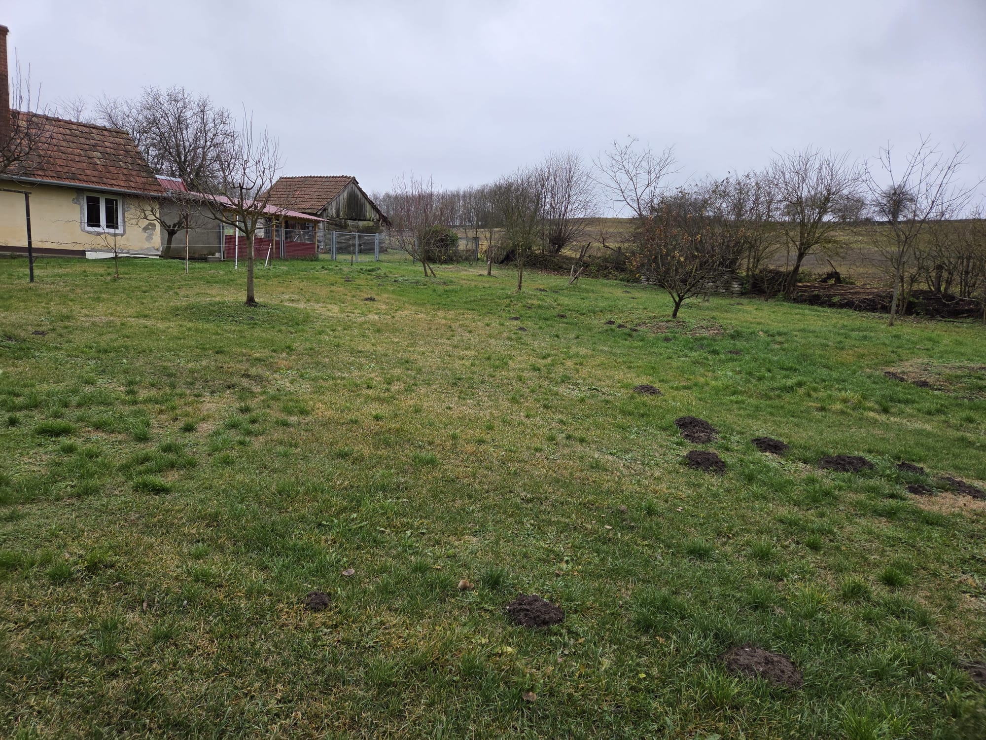 Ungarn-Ruhig gelegenes, Charmantes Familienhaus in Somogysimonyi