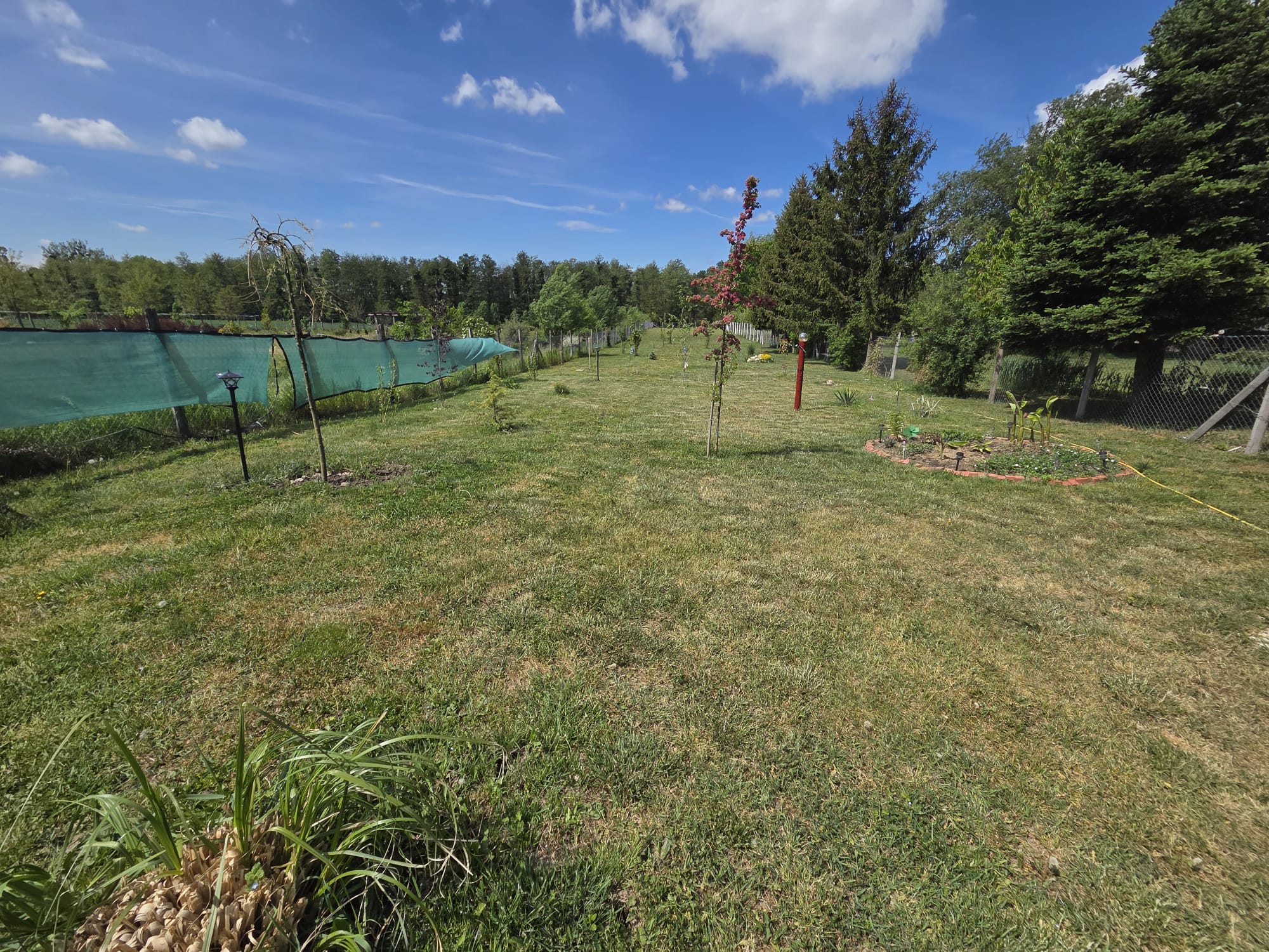 Stilvoll und hochwertig renoviertes Landhaus in idyllischer Umgebung nahe dem Plattensee (Somogy) – Provisionsfrei